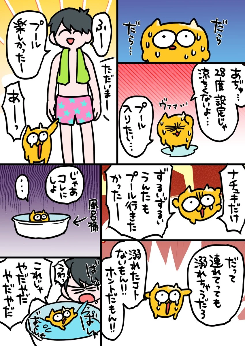 プールに入りたいうんたねこ 1